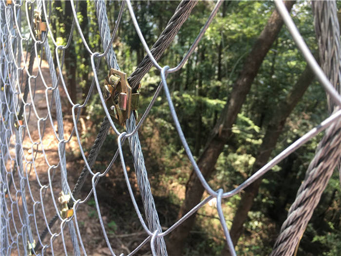 ����a(ch��n)Ʒ